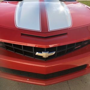 Meet your Posher, Holly